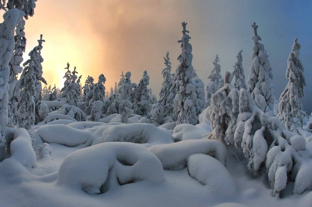 ...зимняя тайга. Автор: optimist , optimist