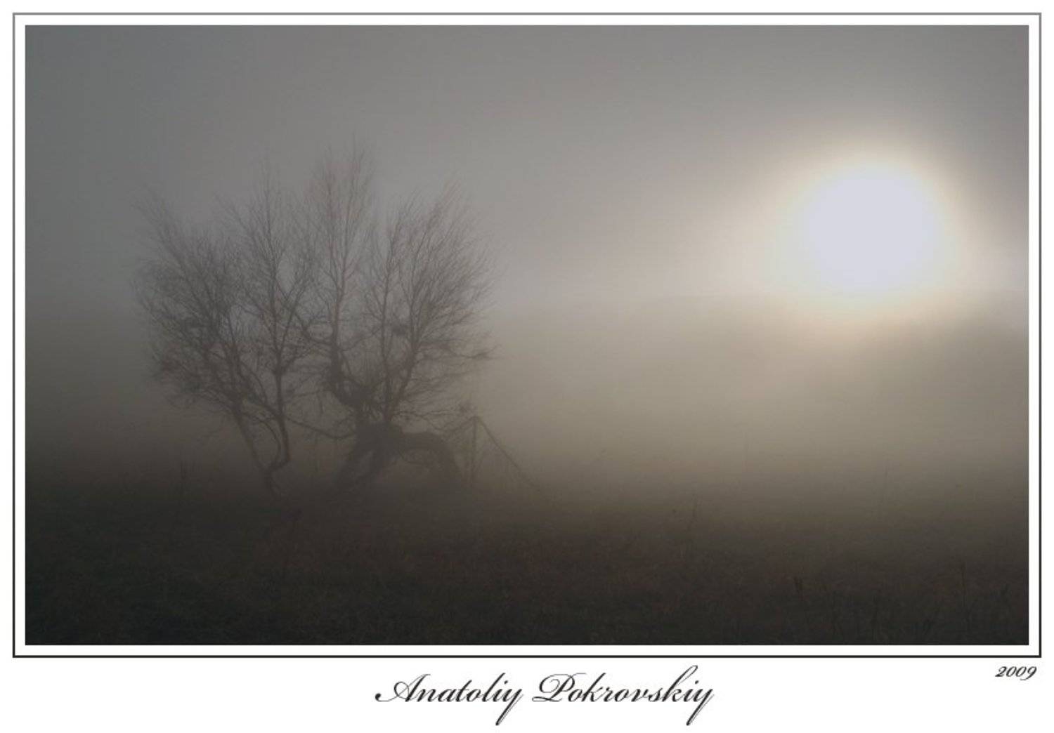 туман, вечер, тирке, тырке, Анатолий Покровский