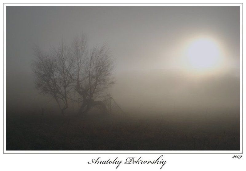 Видимостьphoto preview