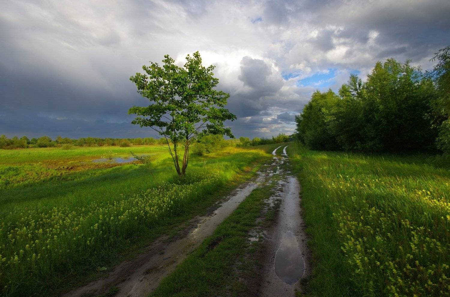 , Сергей Шляга