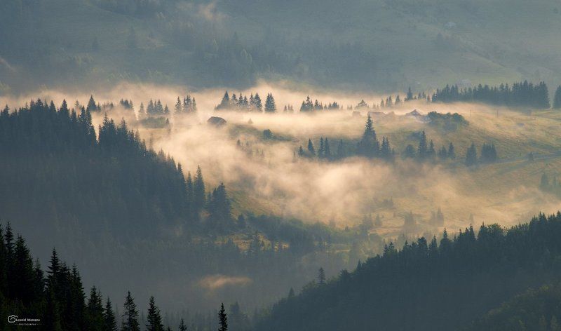 рассвет., , туман., , карпаты., , горы ***photo preview