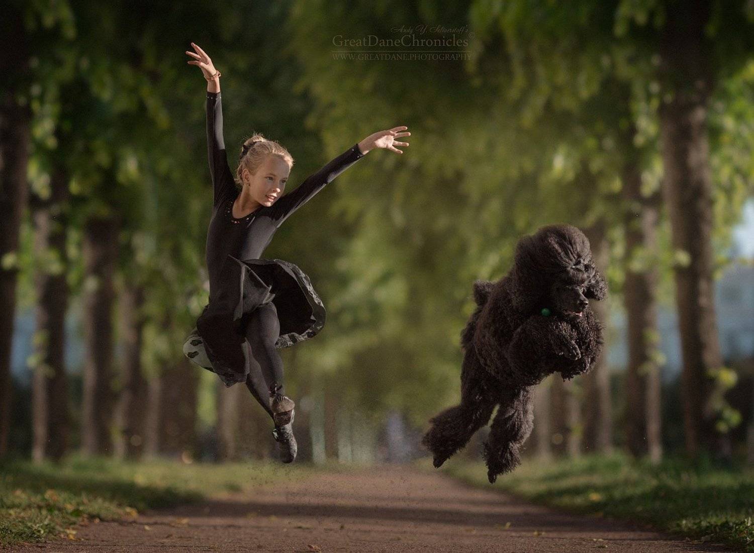 , Андрей Селиверстов