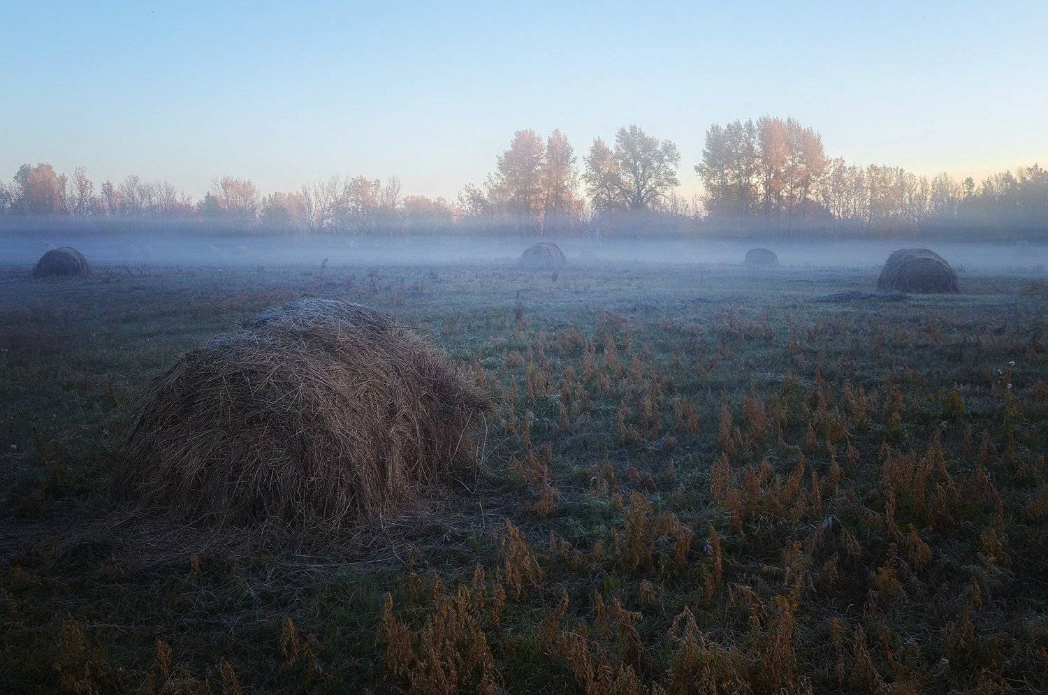 осень, стога, туман, рассвет, Попрошаев Сергей