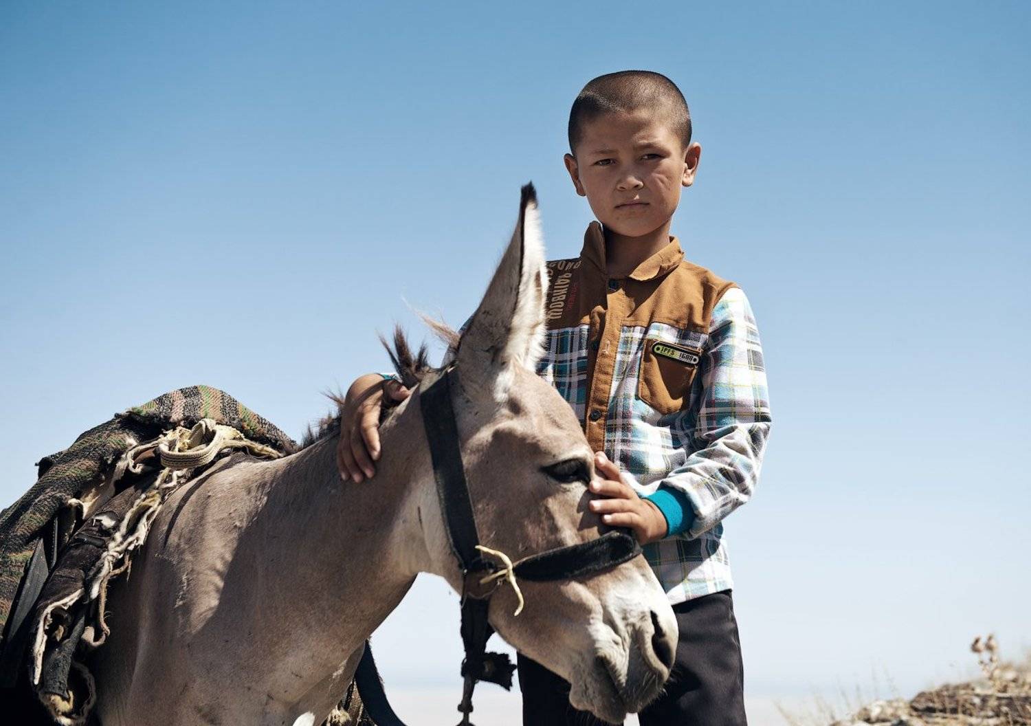  узбекистан, путешествие, пустыня, пастух, чабан, travel, uzbekistan, street, desert, ussr, Илья Гомыранов
