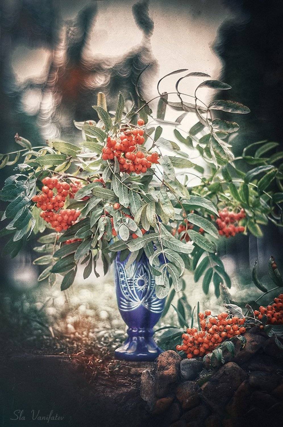 , Вячеслав Ванифатьев