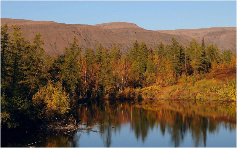 Осенние зарисовкиphoto preview