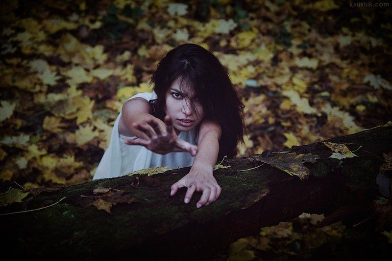 Inside Mephoto preview