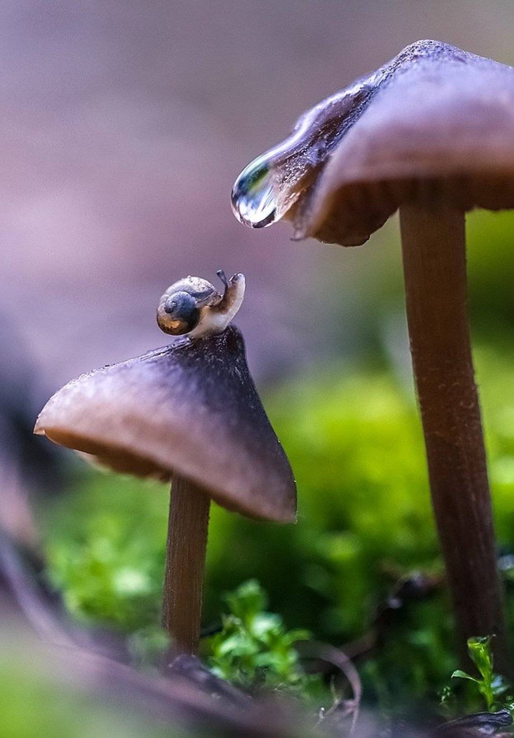 , Вячеслав Мищенко