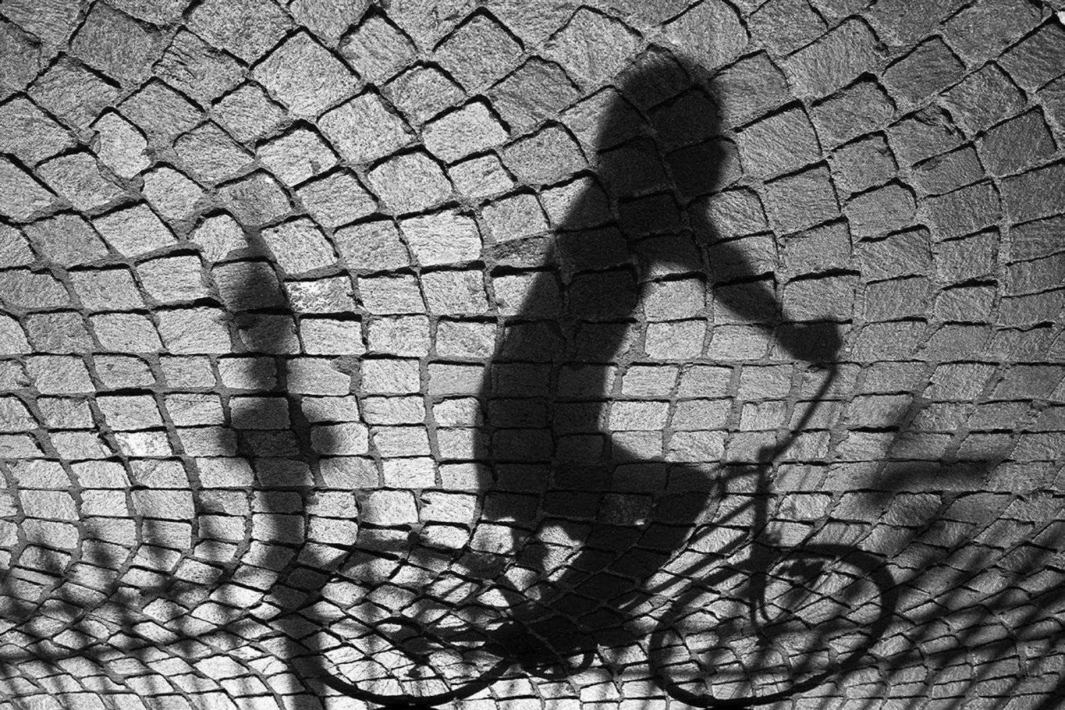 Гонки тени по забору. Автор: Bobus , Bobus