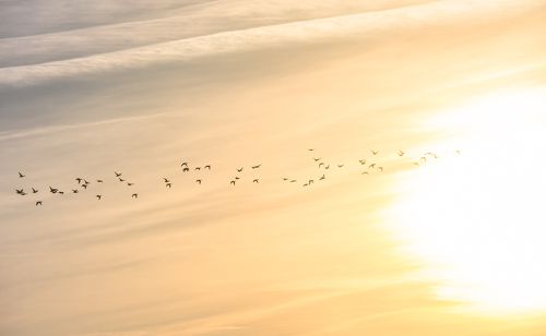 В добрый путь