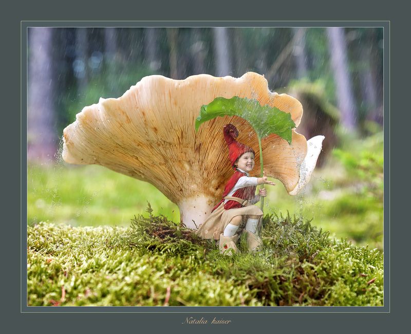 ” Сказки Тюрингского леса ...Гномик и летний дождь”photo preview