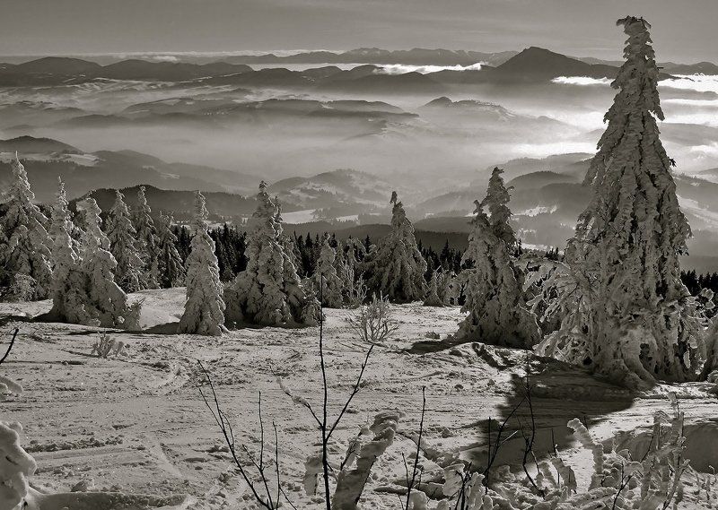 к зиме в гостиphoto preview