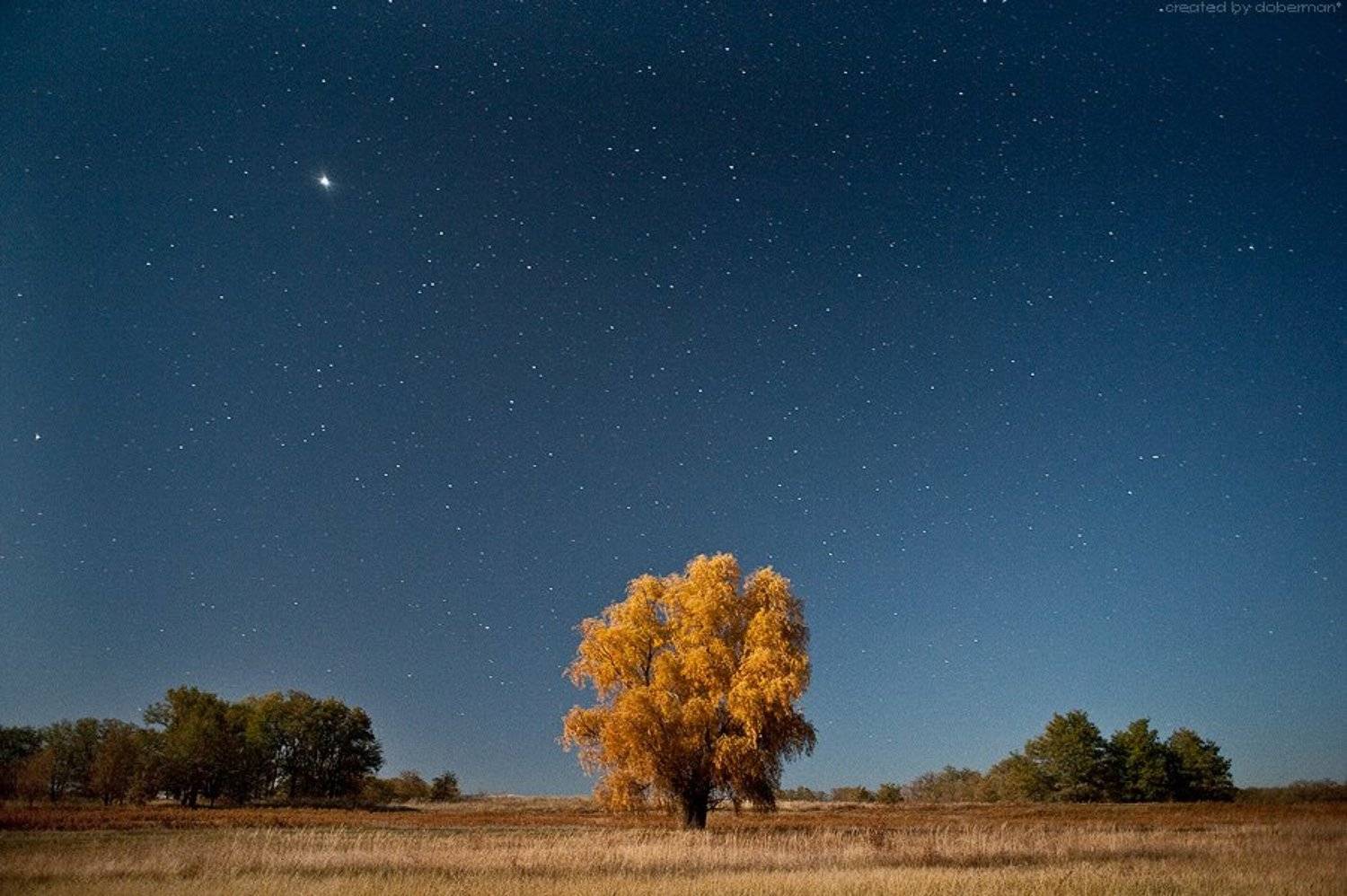 ночь, звезды, Денис Богомолов