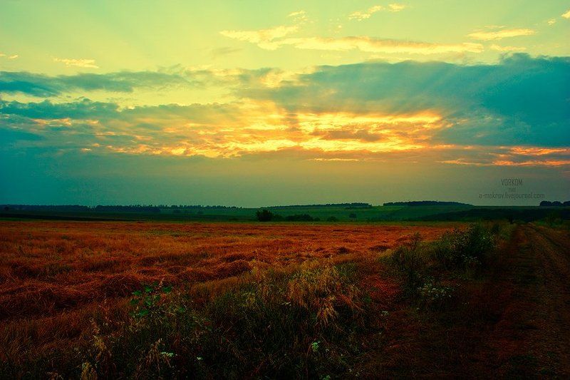 Солнечноеphoto preview