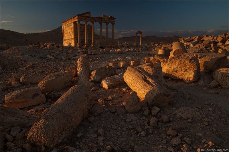 Пальмирская закатнаяphoto preview