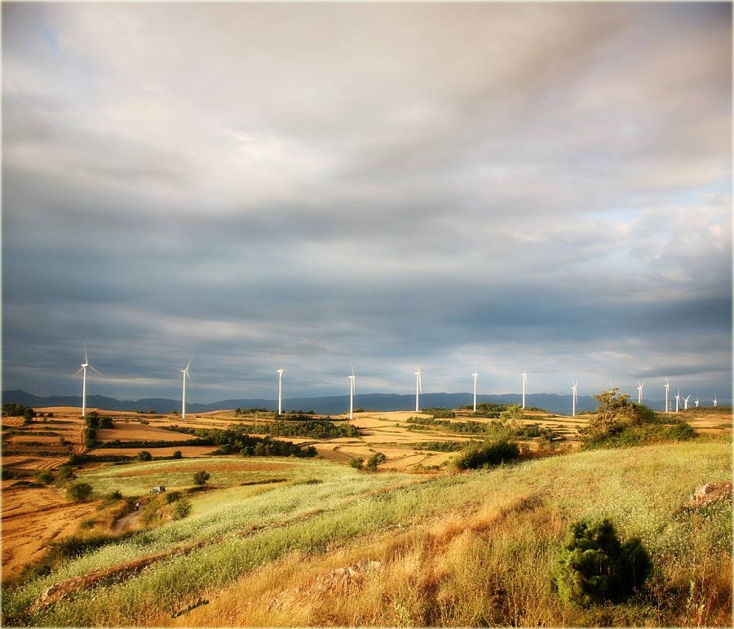 испания, утро, ветряки, поле, Lampadina (Svetlana Maximova)