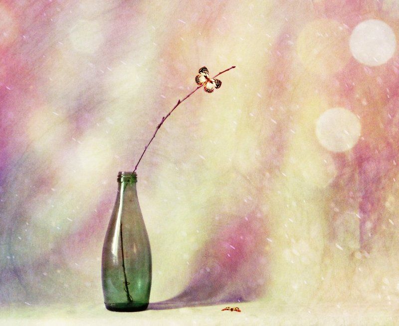 Смерть бабочкиphoto preview