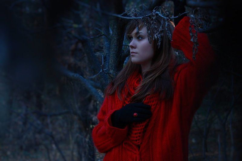 в таинственном лесу..photo preview