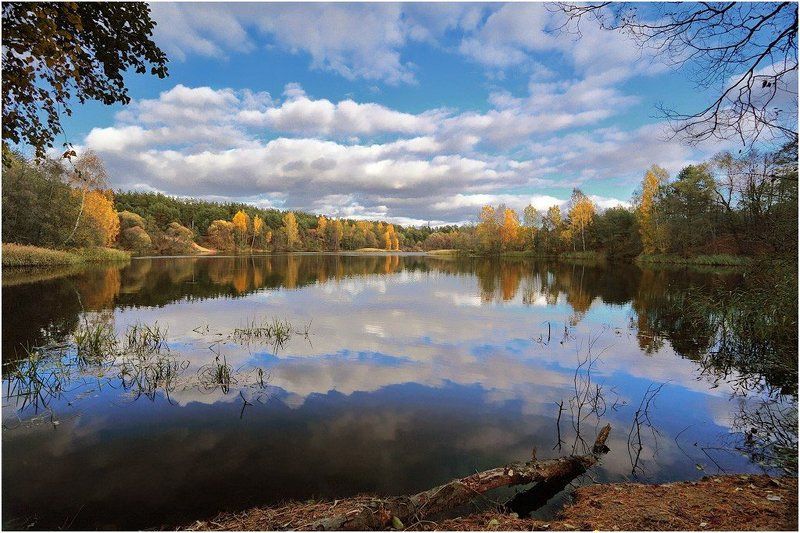 На прудуphoto preview