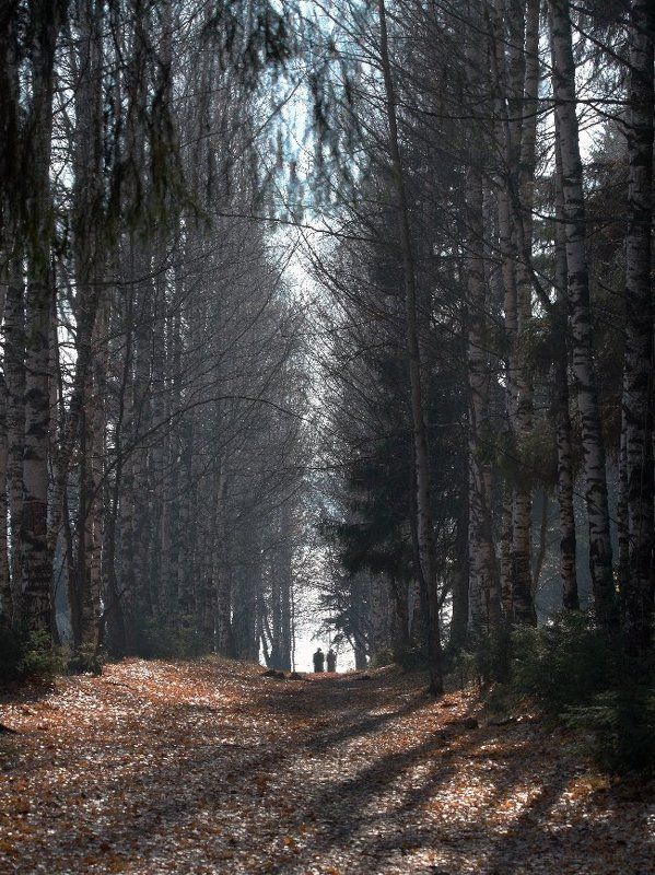 ОСЕННЕЕ НАСТРОЕНИЕ #2photo preview