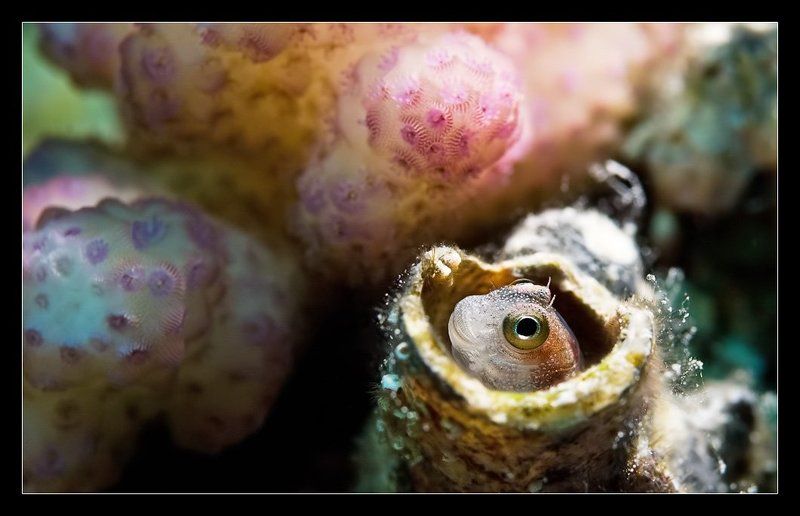 Поиграем ?photo preview