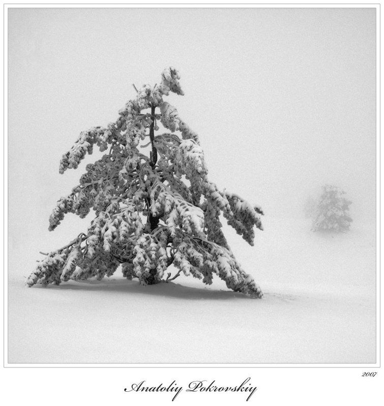 Чёрно-белое безмолвиеphoto preview