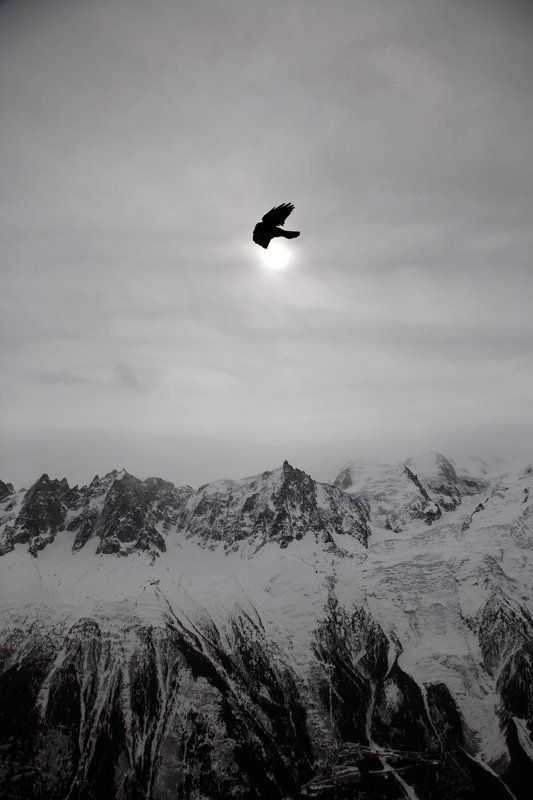 путешествие, горы, альпы, франция, шамони, птица, солнце, затмение Затмениеphoto preview