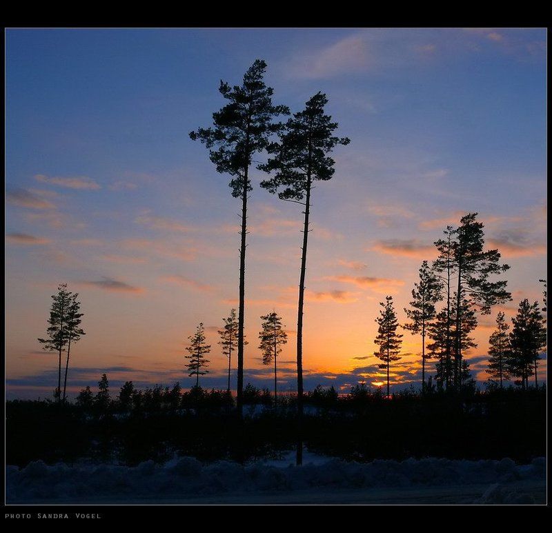 decline, winter, закат, зима Decline of winterphoto preview
