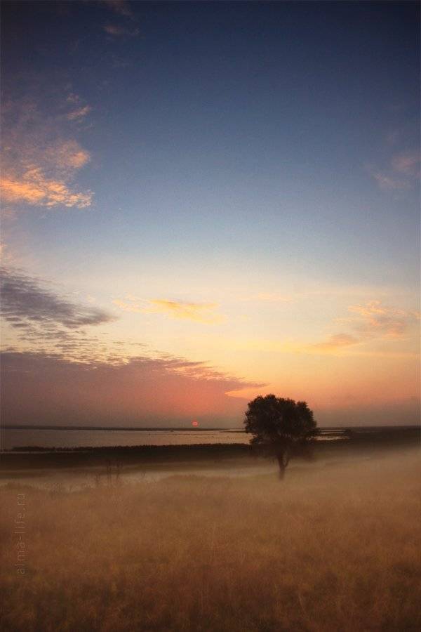 Sunrise. Автор: Алексей рассвет, дерево, кубань, Алексей