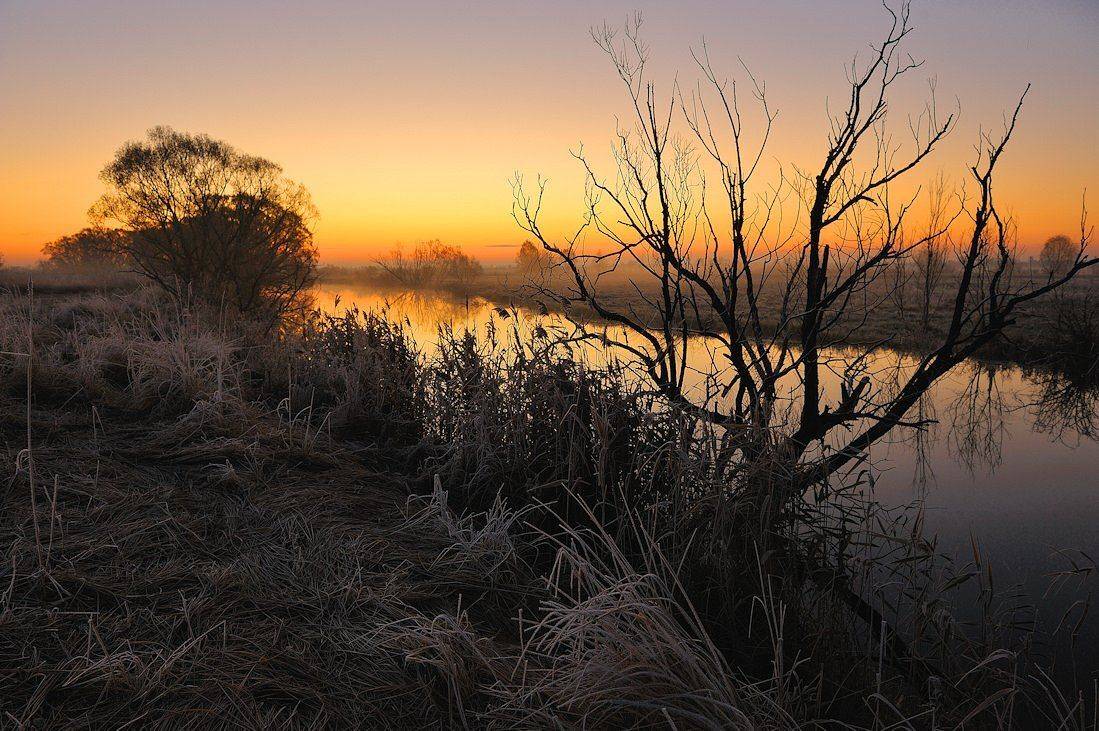 Подмороженная графика.... Автор: Андрей Балабин , Андрей Балабин