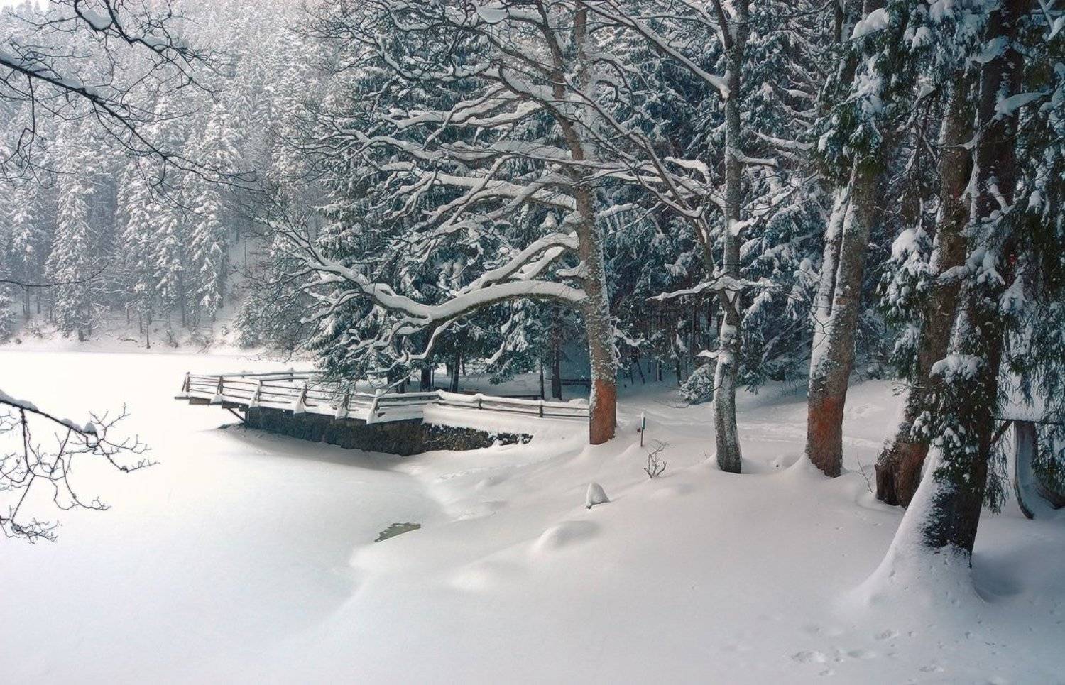 , Леонид Закревский