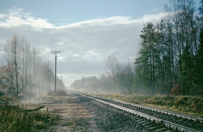 Короткая дорога длиною в жизньphoto preview