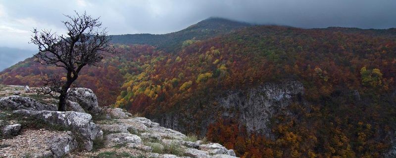 просторphoto preview