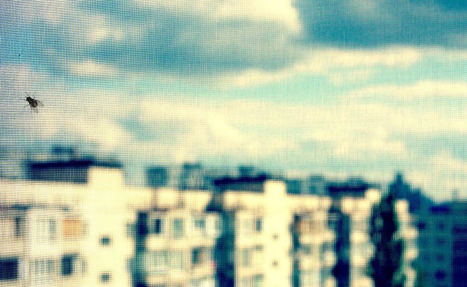 сеть. Автор: Olya Mruwka , Olya Mruwka