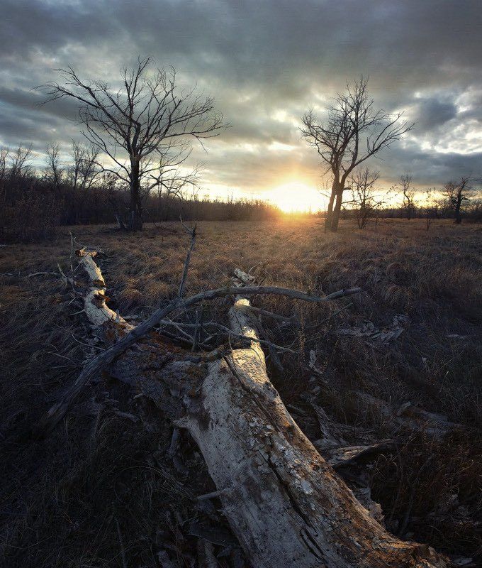 О сухости.photo preview