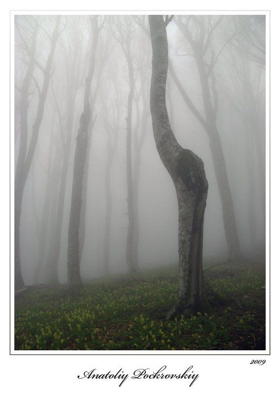 Затаённоеphoto preview