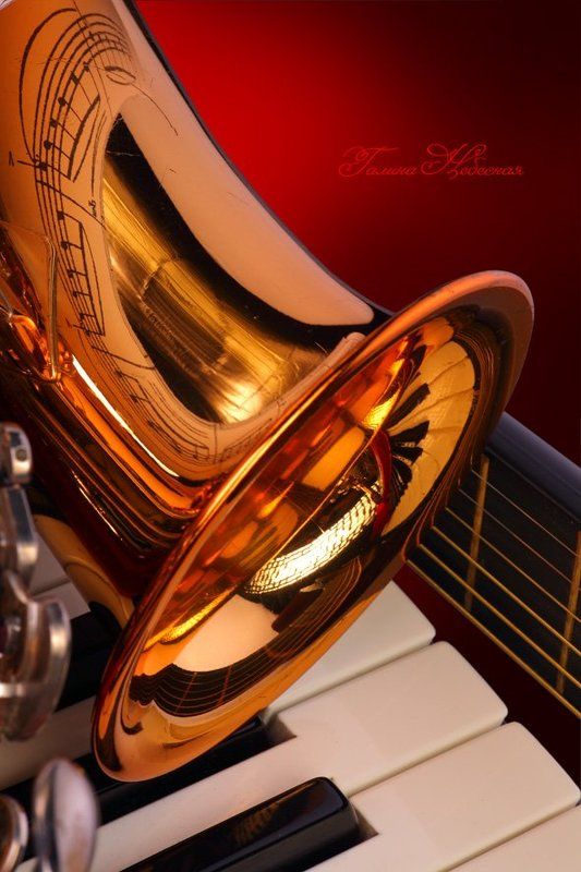 FERMATTAphoto preview