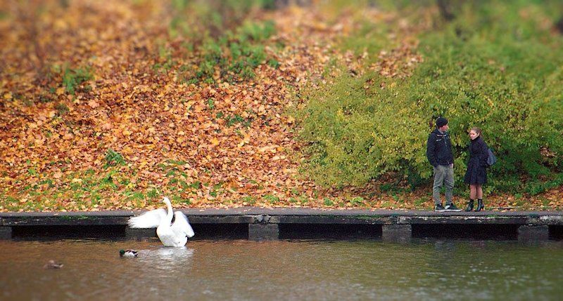 Разговор на причалеphoto preview