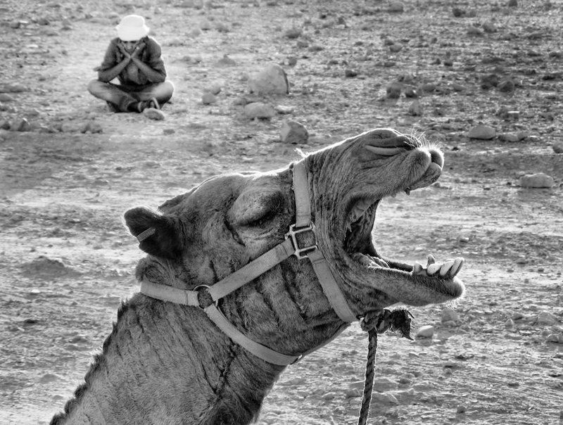 ВCЁ, приехали...photo preview