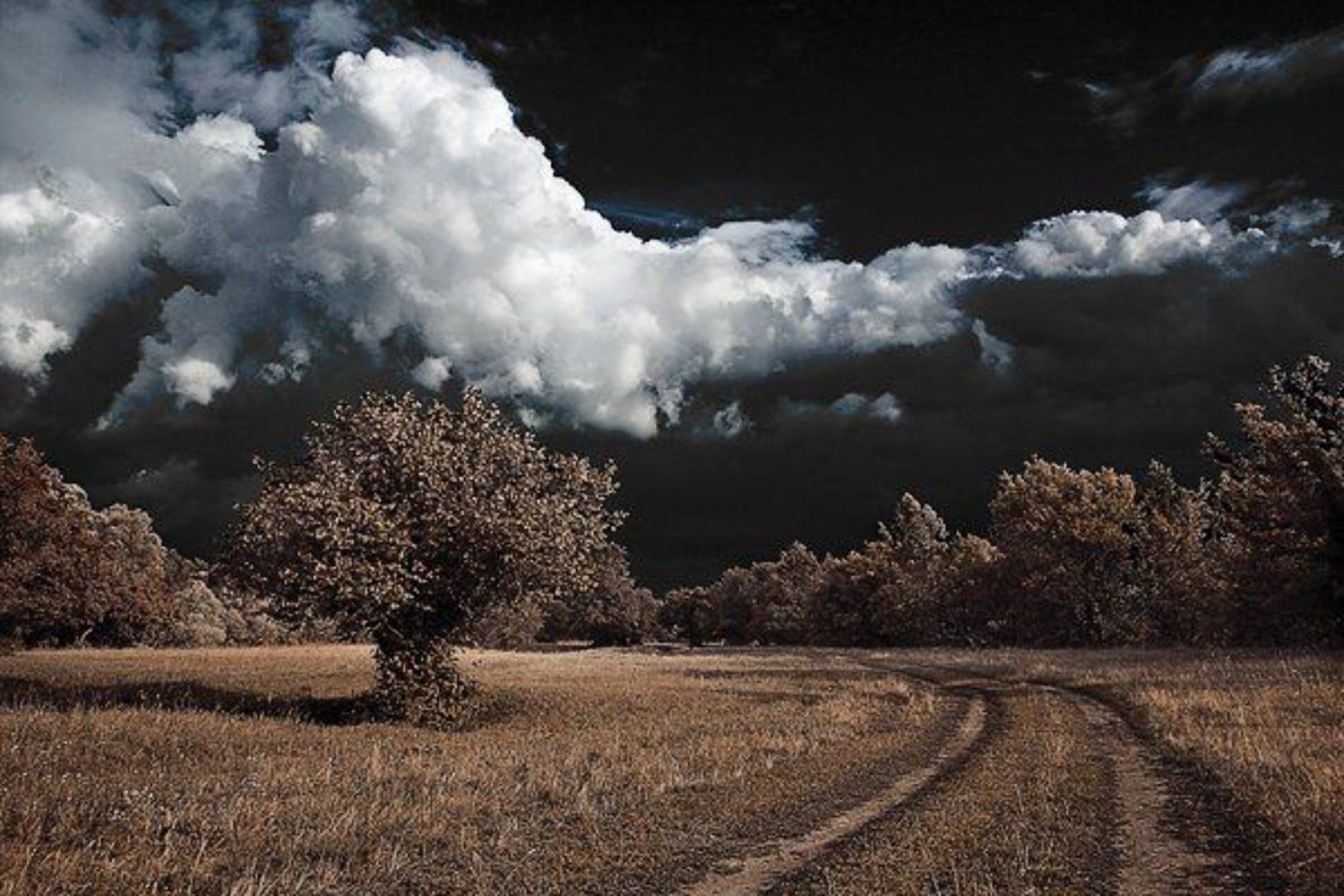 Отражение. Автор: Пальников Иван природа, Пальников Иван