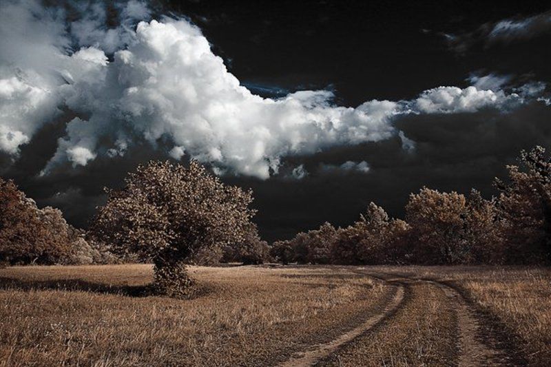 природа Отражениеphoto preview