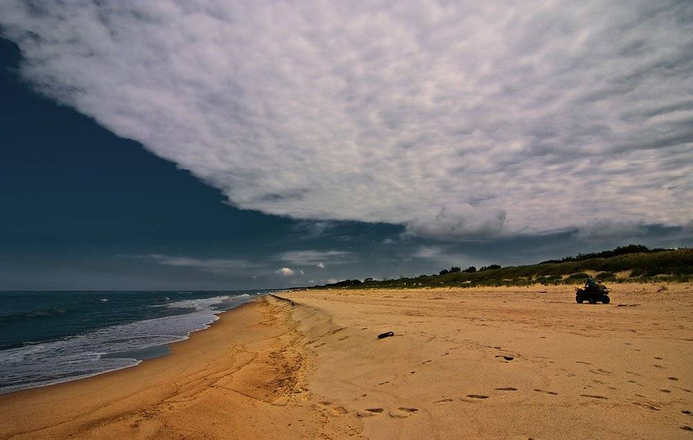 куршская, коса, балтика, Александр Титаренко
