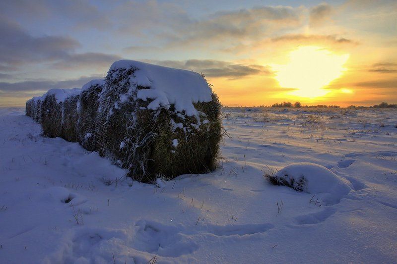 Зимнее полеphoto preview