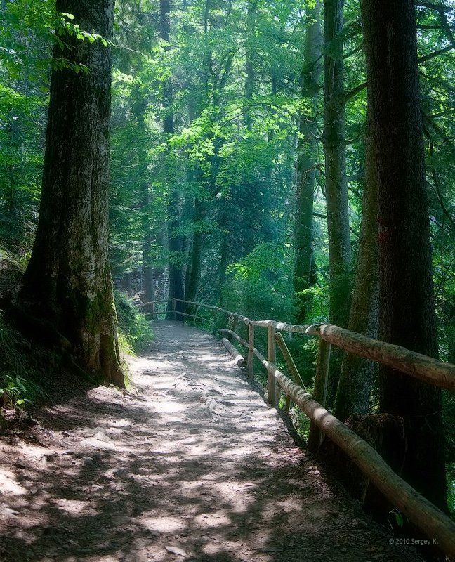 лес, карпаты, синевир, закарпатье, природа Дорога к озеруphoto preview