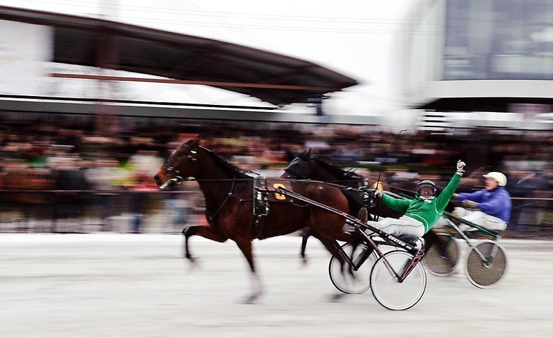 the, winner photo preview