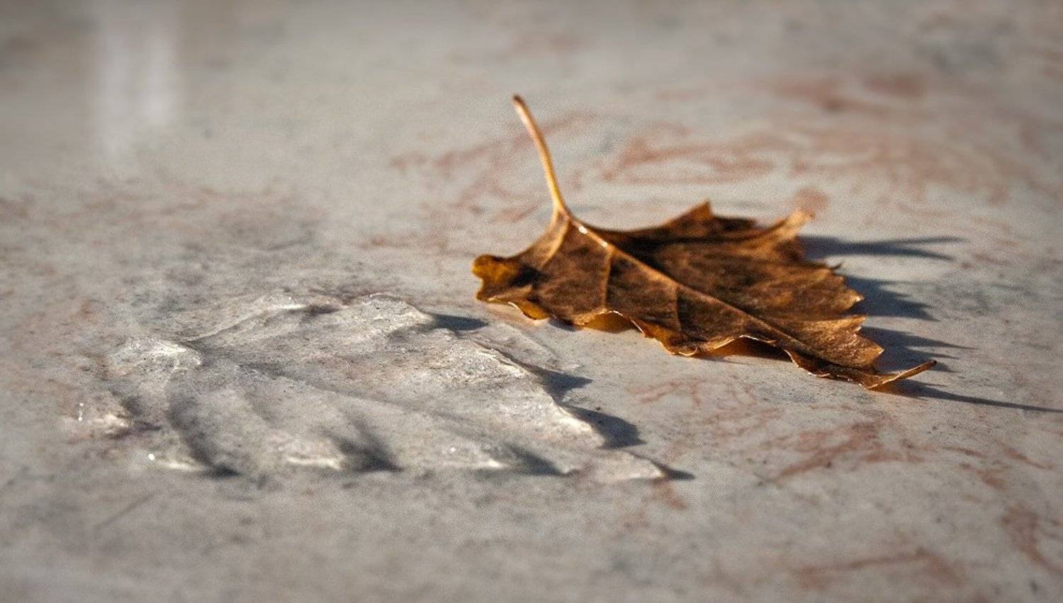 , Рафаэль Александрович Фоменко