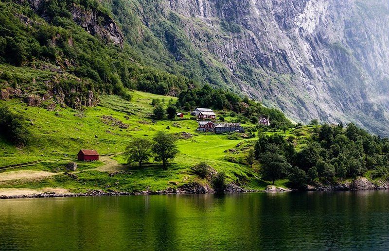 норвегия, фьорд На берегу фьордаphoto preview