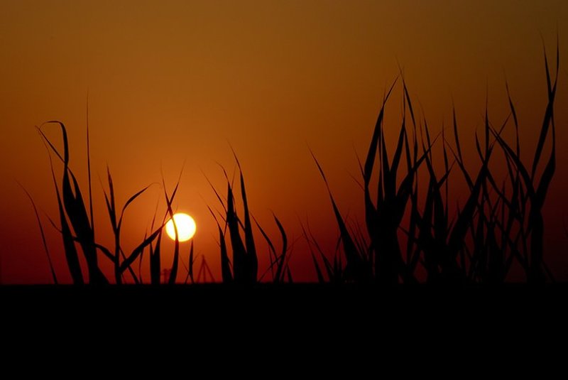 солнце, закат Приазовский закатphoto preview