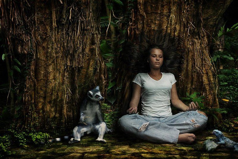 Deep forestphoto preview