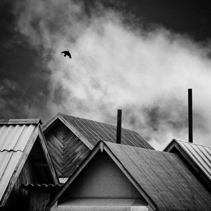 Семьяphoto preview